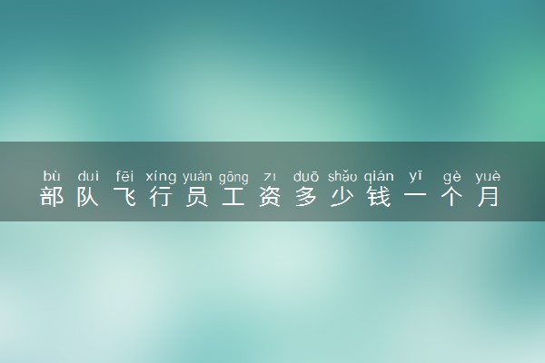 部队飞行员工资多少钱一个月 退役后都做什么