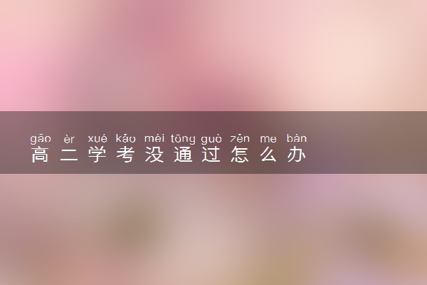 高二学考没通过怎么办