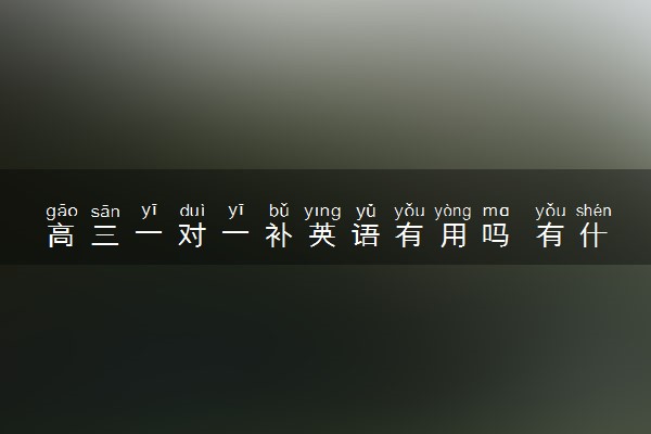高三一对一补英语有用吗 有什么好处