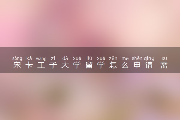 宋卡王子大学留学怎么申请 需要什么条件