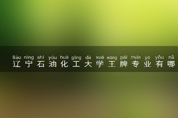 辽宁石油化工大学王牌专业有哪些 比较好的专业推荐
