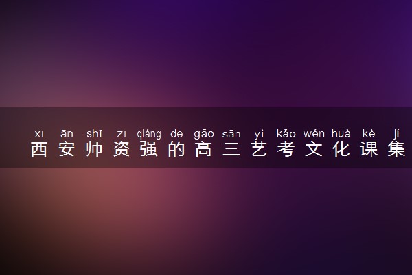 西安师资强的高三艺考文化课集训班榜首揭秘