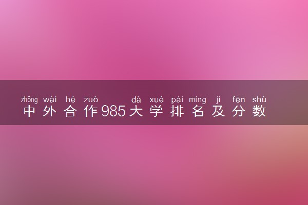 中外合作985大学排名及分数线 2025多少分能考上