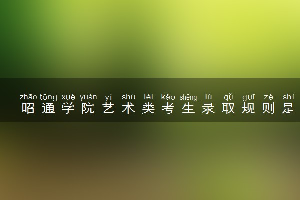 昭通学院艺术类考生录取规则是怎样的 有哪些要求