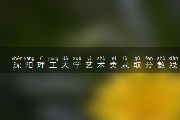 沈阳理工大学艺术类录取分数线是多少 各省分数整理