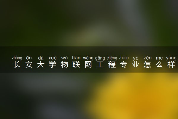 长安大学物联网工程专业怎么样 录取分数线多少