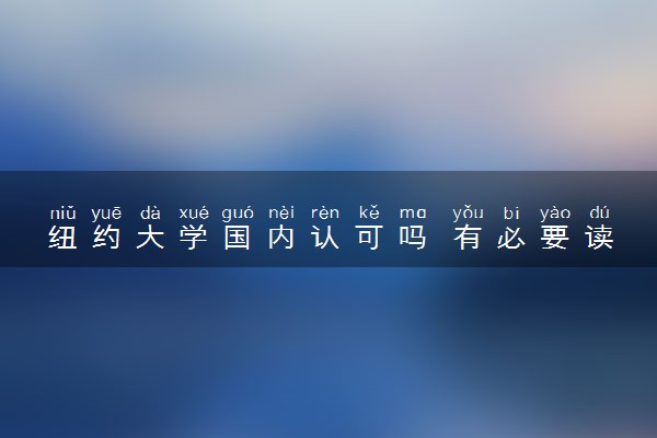 纽约大学国内认可吗 有必要读吗