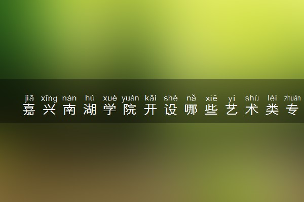 嘉兴南湖学院开设哪些艺术类专业 什么专业前景好