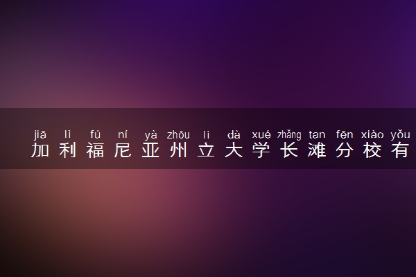 加利福尼亚州立大学长滩分校有哪些专业 读完好就业吗