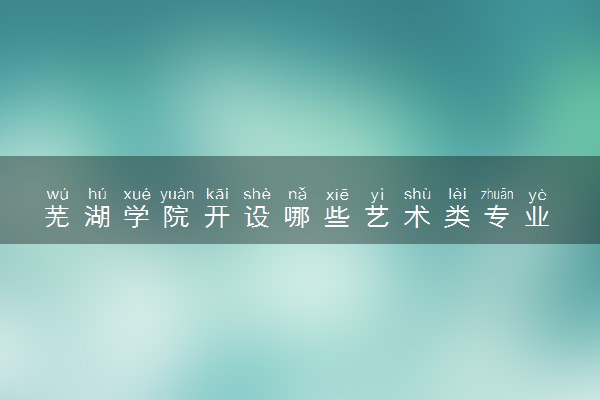 芜湖学院开设哪些艺术类专业 什么专业前景好
