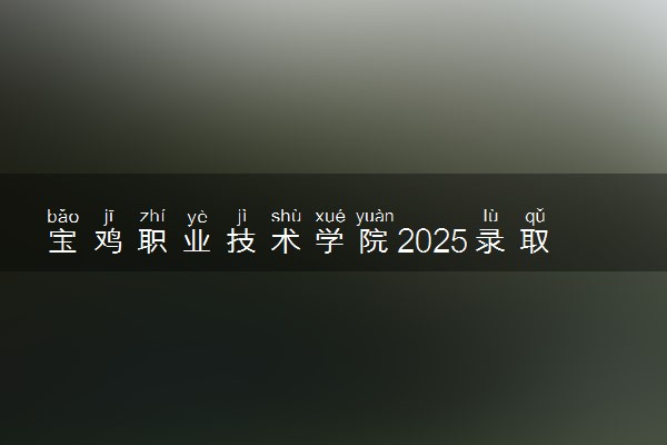 宝鸡职业技术学院2025录取分数线整理 最低多少分可以考上
