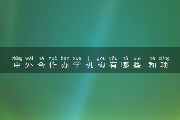 中外合作办学机构有哪些 和项目有什么区别