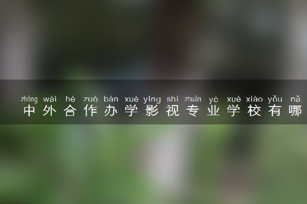 中外合作办学影视专业学校有哪些 好就业吗