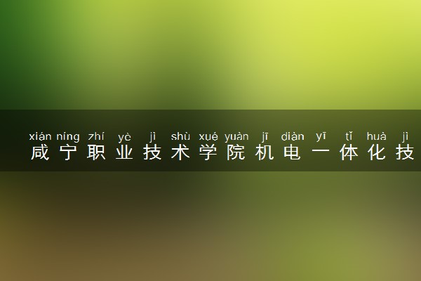 咸宁职业技术学院机电一体化技术专业怎么样 录取分数线多少