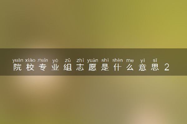 院校专业组志愿是什么意思 2025怎么报考