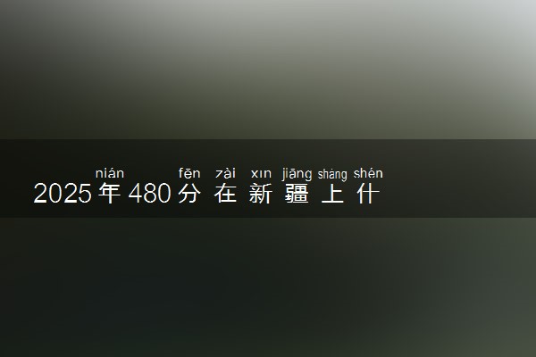 2025年480分在新疆上什么大学好 近三年录取分数线是多少