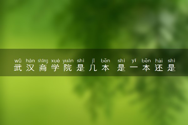 武汉商学院是几本 是一本还是二本大学
