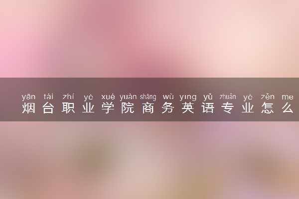 烟台职业学院商务英语专业怎么样 录取分数线多少