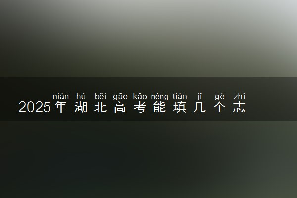 2025年湖北高考能填几个志愿和几个专业