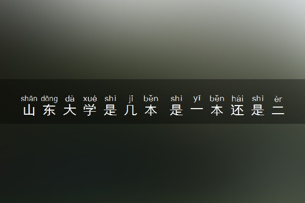 山东大学是几本 是一本还是二本大学