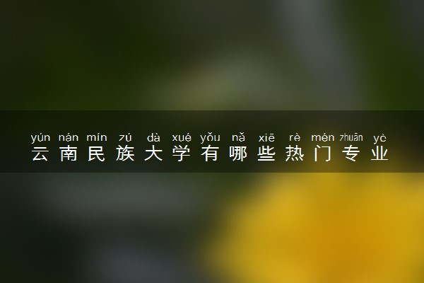 云南民族大学有哪些热门专业 推荐的王牌专业