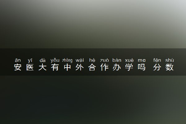 安医大有中外合作办学吗 分数线是多少
