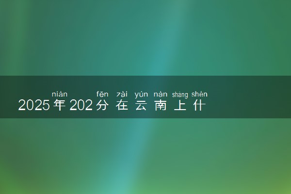 2025年202分在云南上什么大学好 近三年录取分数线是多少