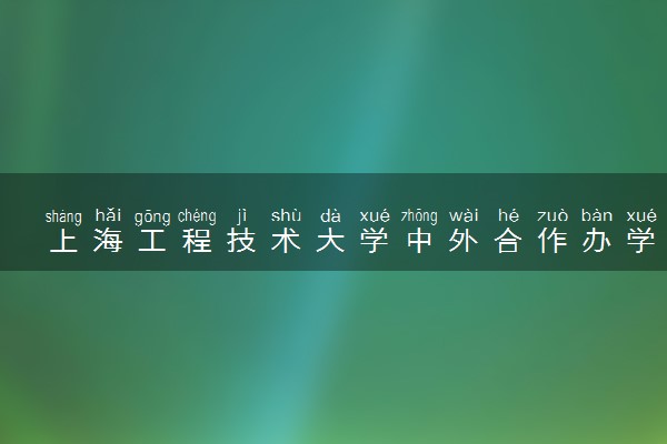 上海工程技术大学中外合作办学学费多少钱 各专业收费标准