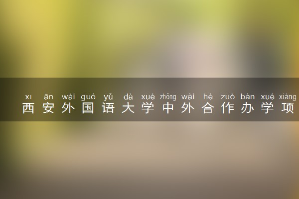 西安外国语大学中外合作办学项目有哪些 要出国吗