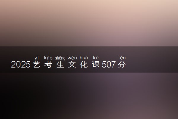 2025艺考生文化课507分能上中南大学吗