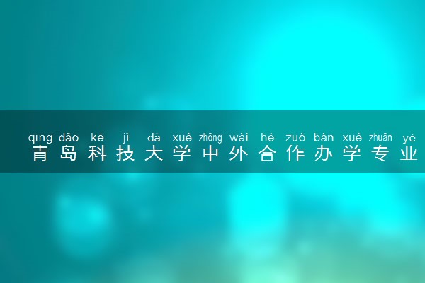 青岛科技大学中外合作办学专业有哪些 好就业吗
