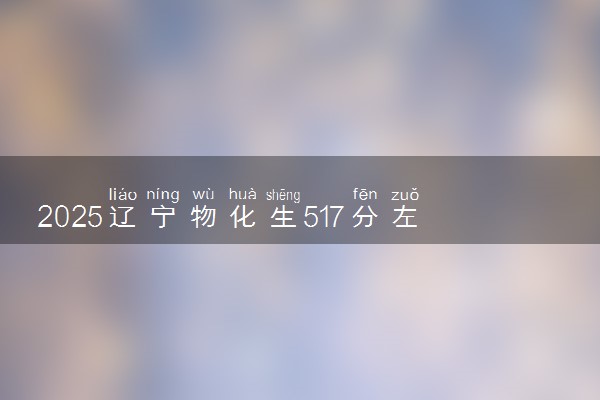 2025辽宁物化生517分左右能上什么大学 可以报考的院校名单
