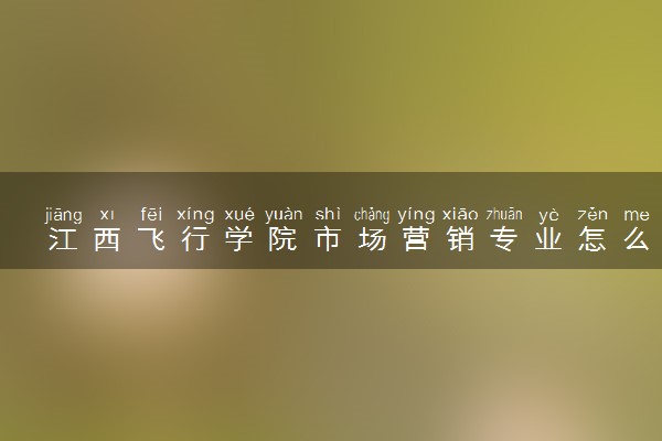 江西飞行学院市场营销专业怎么样 录取分数线多少