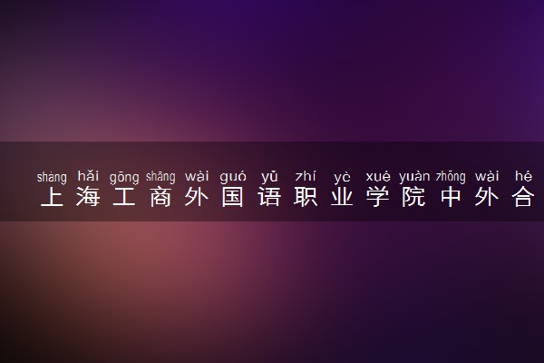 上海工商外国语职业学院中外合作办学学费多少钱 各专业收费标准