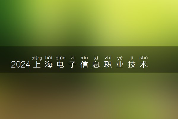 2024上海电子信息职业技术学院各省录取分数线是多少 最低分及位次