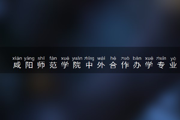 咸阳师范学院中外合作办学专业有哪些 好就业吗