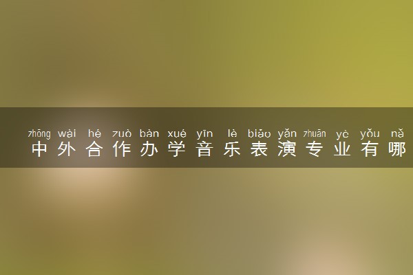 中外合作办学音乐表演专业有哪些大学 就业前景怎么样
