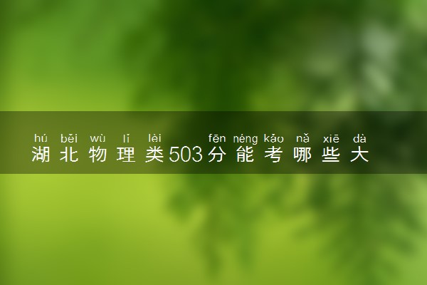 湖北物理类503分能考哪些大学 2025考生稳上的大学名单