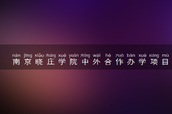 南京晓庄学院中外合作办学项目有哪些 要出国吗