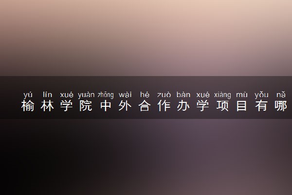 榆林学院中外合作办学项目有哪些 要出国吗