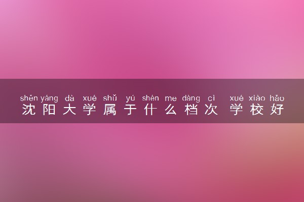 沈阳大学属于什么档次 学校好不好