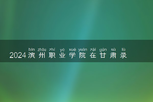 2024滨州职业学院在甘肃录取分数线 各专业分数及位次