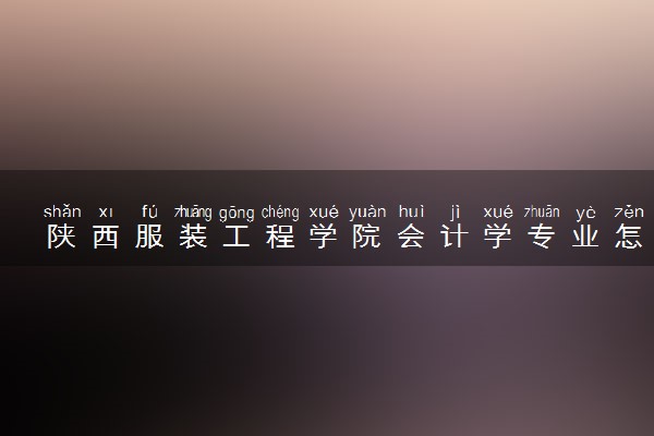 陕西服装工程学院会计学专业怎么样 录取分数线多少