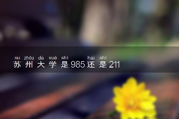 苏州大学是985还是211 含金量怎么样