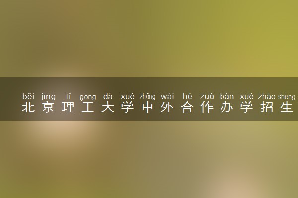 北京理工大学中外合作办学招生简章及专业计划（2025参考）
