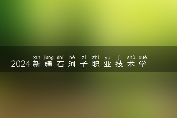 2024新疆石河子职业技术学院在宁夏录取分数线 各专业分数及位次