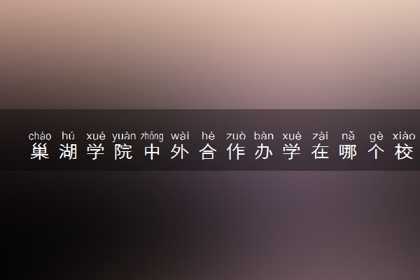 巢湖学院中外合作办学在哪个校区 在什么地方