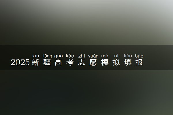 2025新疆高考志愿模拟填报样表 志愿设置及填报技巧