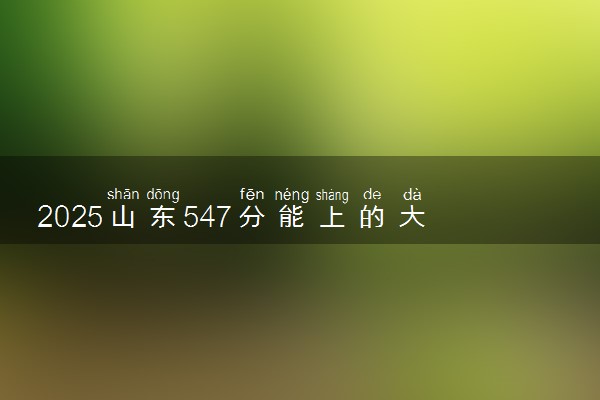 2025山东547分能上的大学有哪些 可以报考院校名单