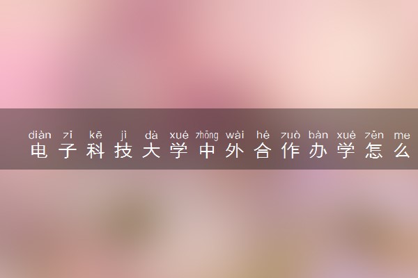 电子科技大学中外合作办学怎么样 好不好